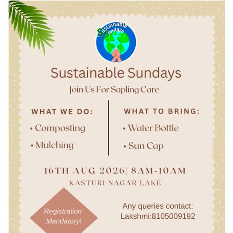 Cover Image for Sapling Care Sunday's