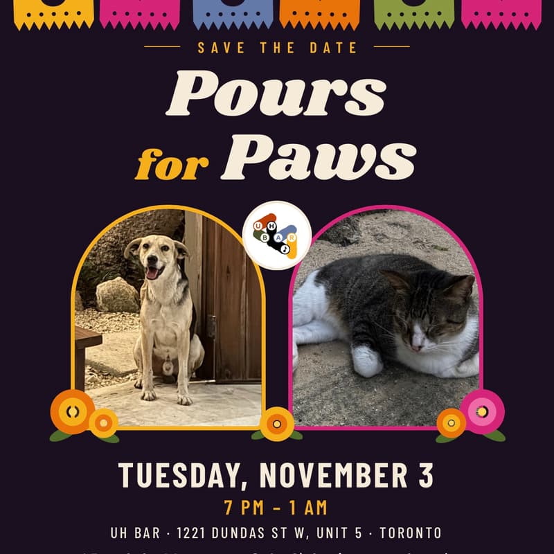 Cover Image for Pours for Paws - Dia de los Muertos