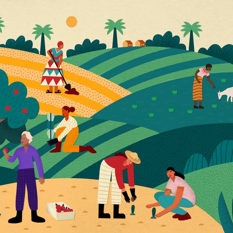 Cover Image for Scale the Solutions: Women-led agroecology in Action