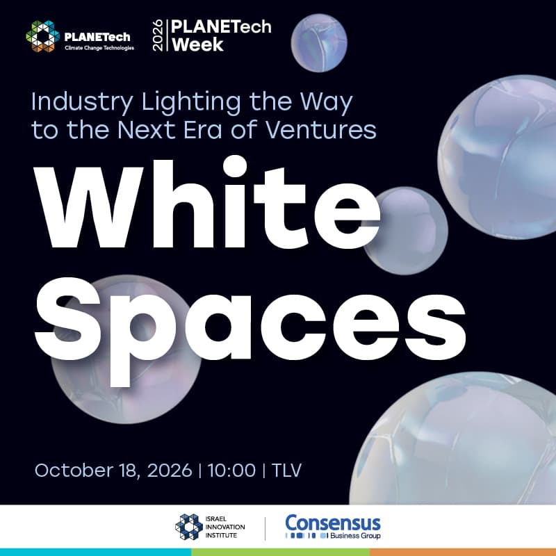 Cover Image for White Spaces