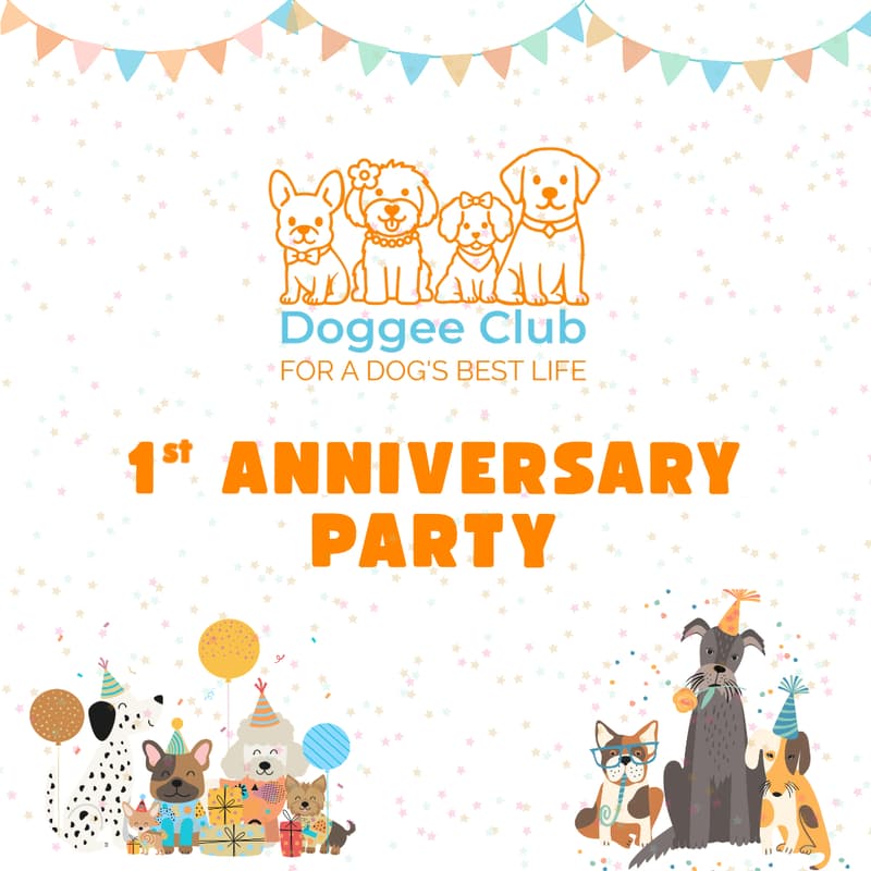 Cover Image for First Anniversary Party