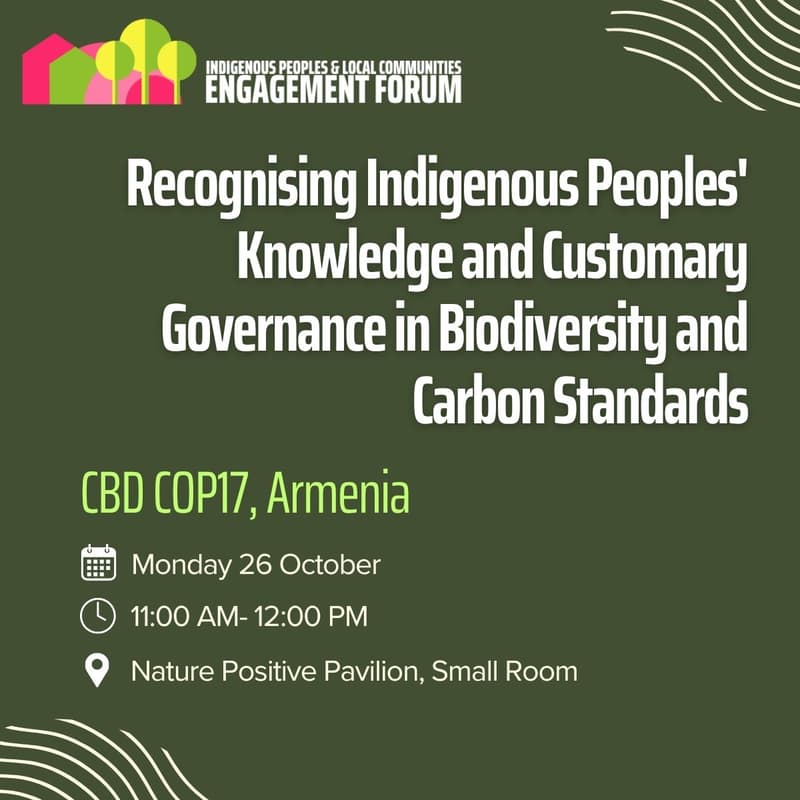 Cover Image for From Consultation to Co-Creation: Recognising Indigenous Peoples' Knowledge and Customary Governance in Biodiversity and Carbon Standards