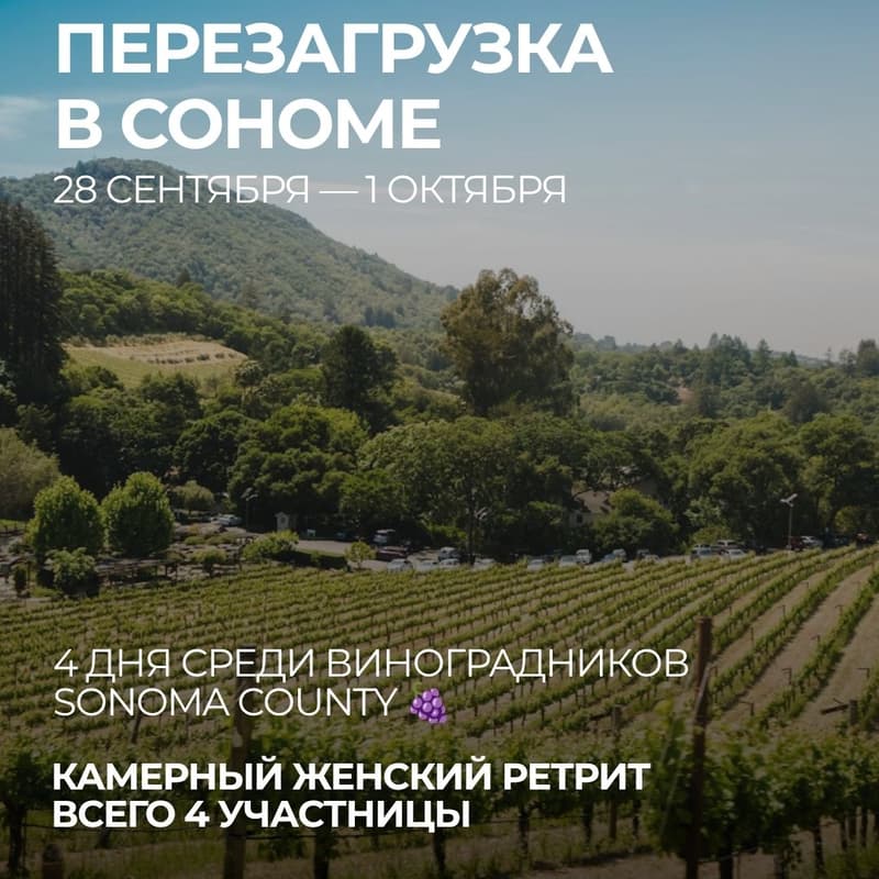 Cover Image for VIP RETREAT Перезагрузка в Сономе