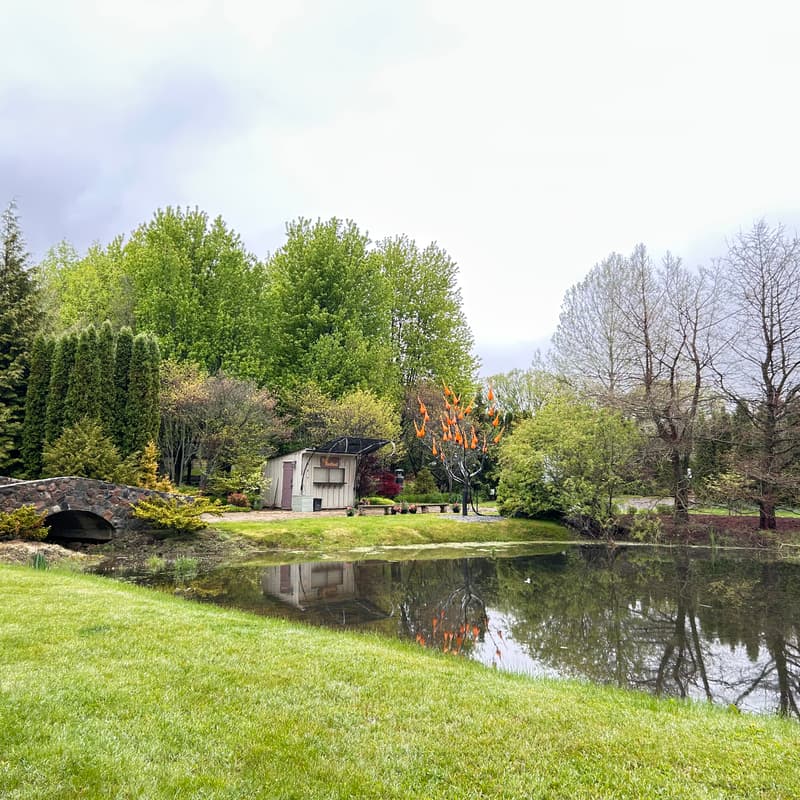 Cover Image for Forest Therapy walk at Whistling Gardens