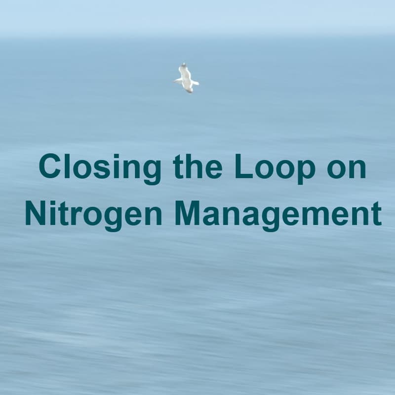 Cover Image for Closing the loop on nitrogen management - year 1 review