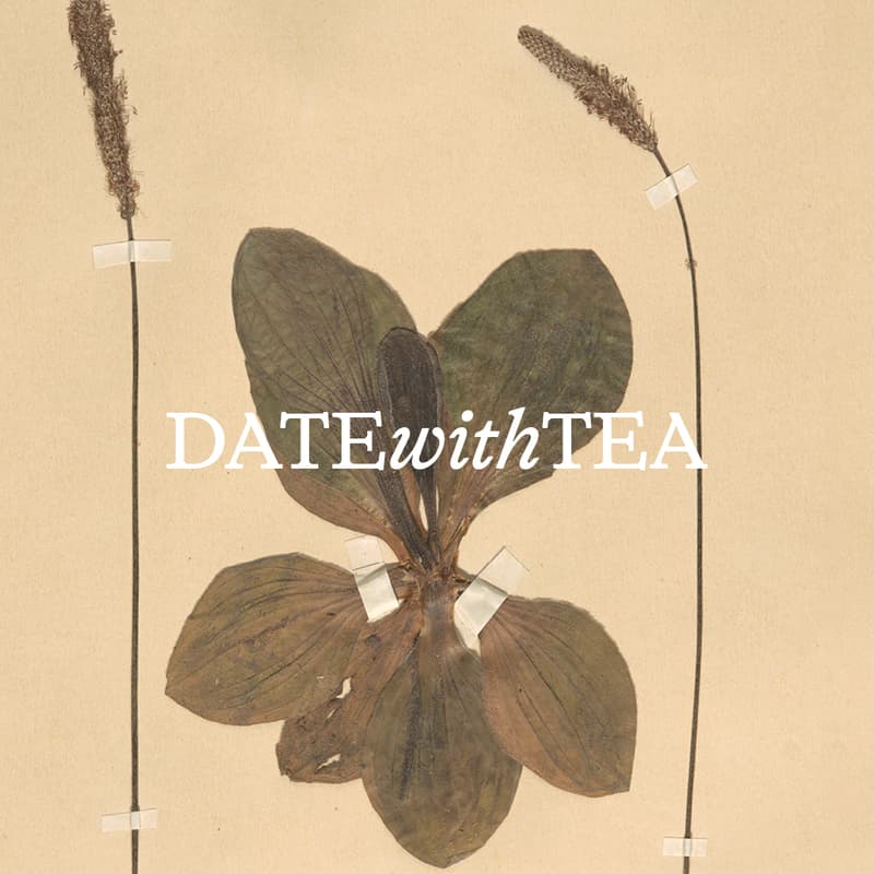Cover Image for Date with Tea