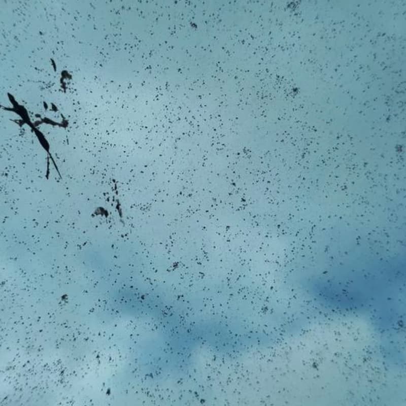 Cover Image for HERD/Atmospherics