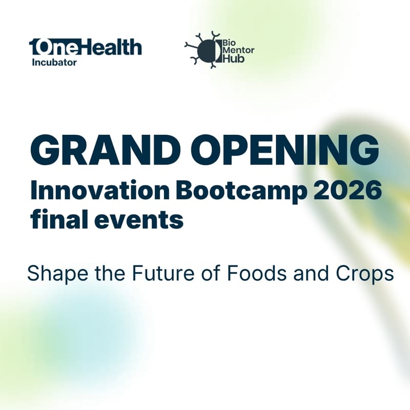 Cover Image for Deschiderea oficială a etapei finale – 1Health Innovation Bootcamp 2026