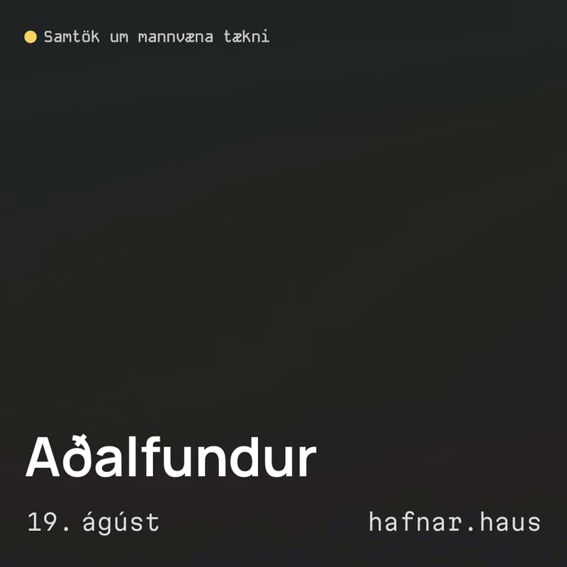 Cover Image for Aðalfundur Samtaka um mannvæna tækni