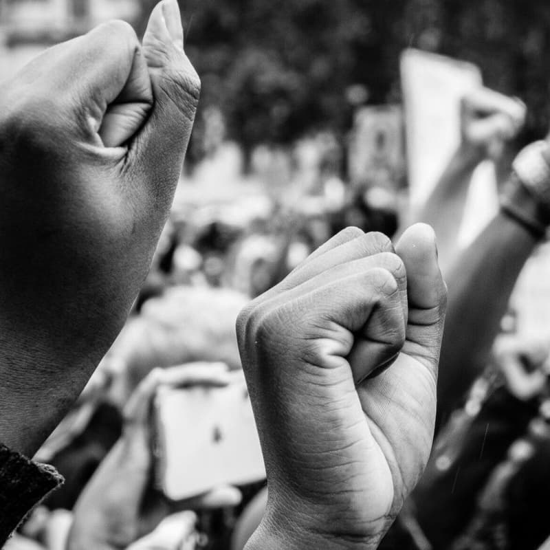 Cover Image for Okun Democracy Forum