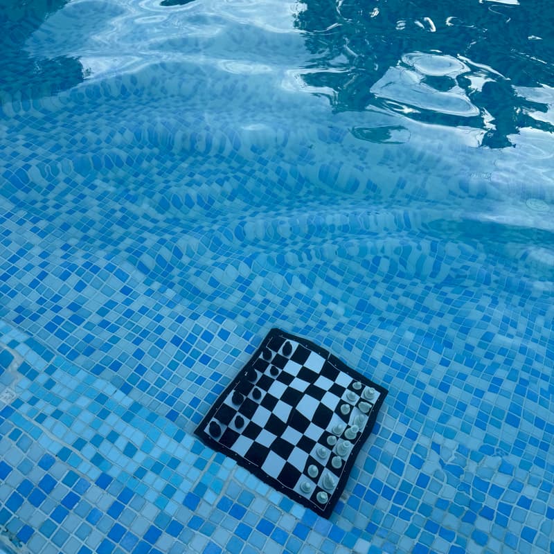 Cover Image for THE SQUARE Social & Diving Chess @Grădina Floreasca