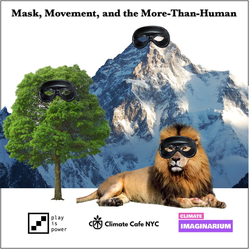 Cover Image for Mask, Movement, and the More-Than-Human