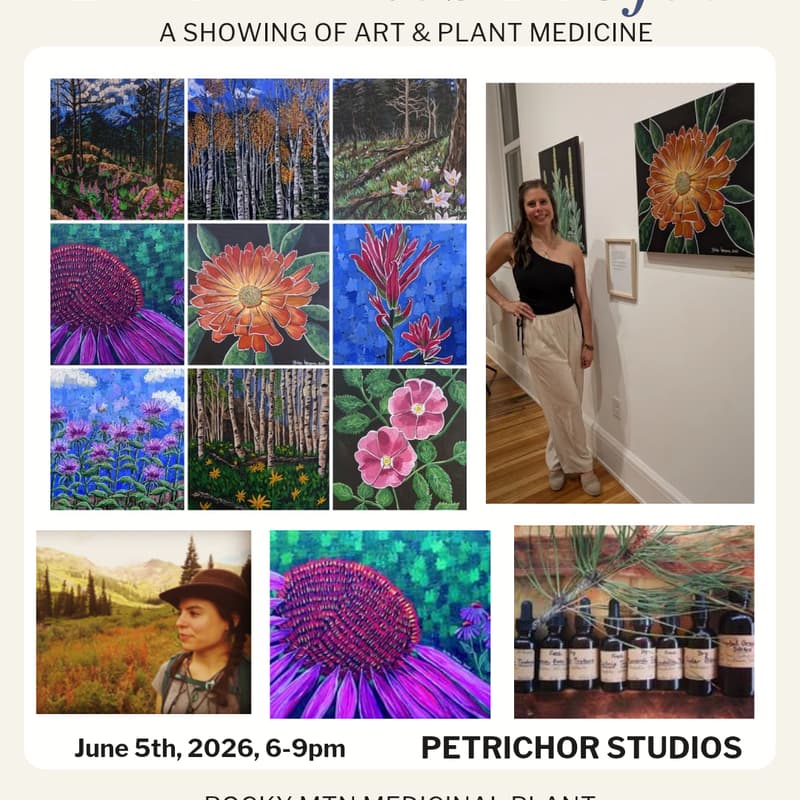 Cover Image for Plant Allies Project First Friday Showing