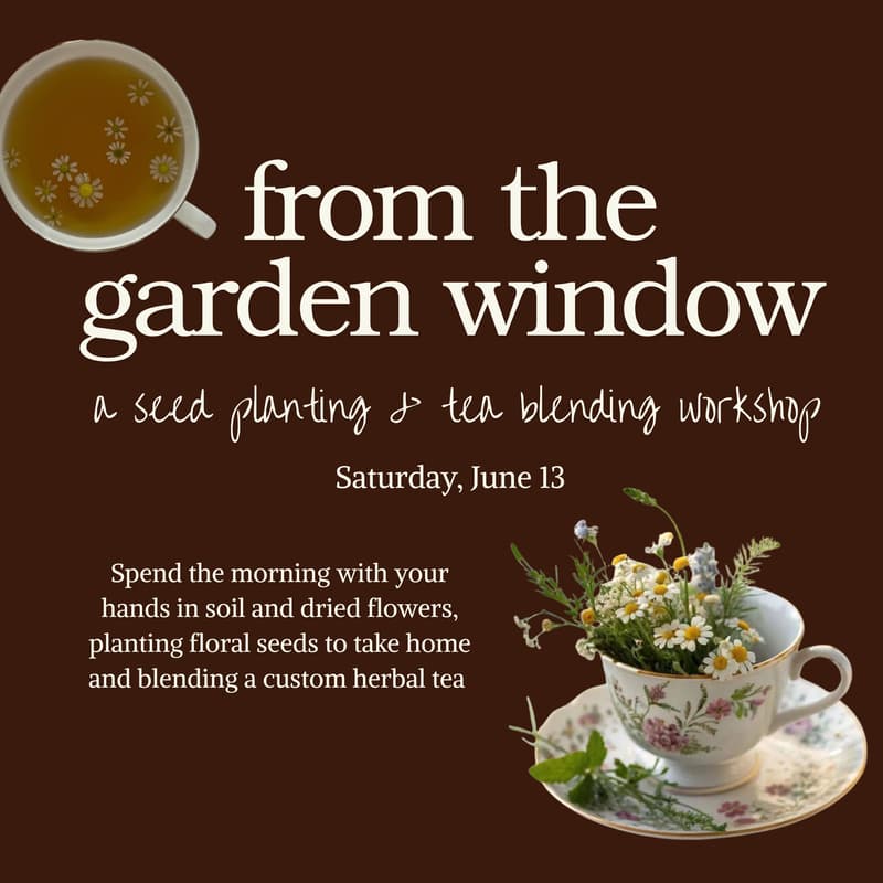Cover Image for From The Garden Window