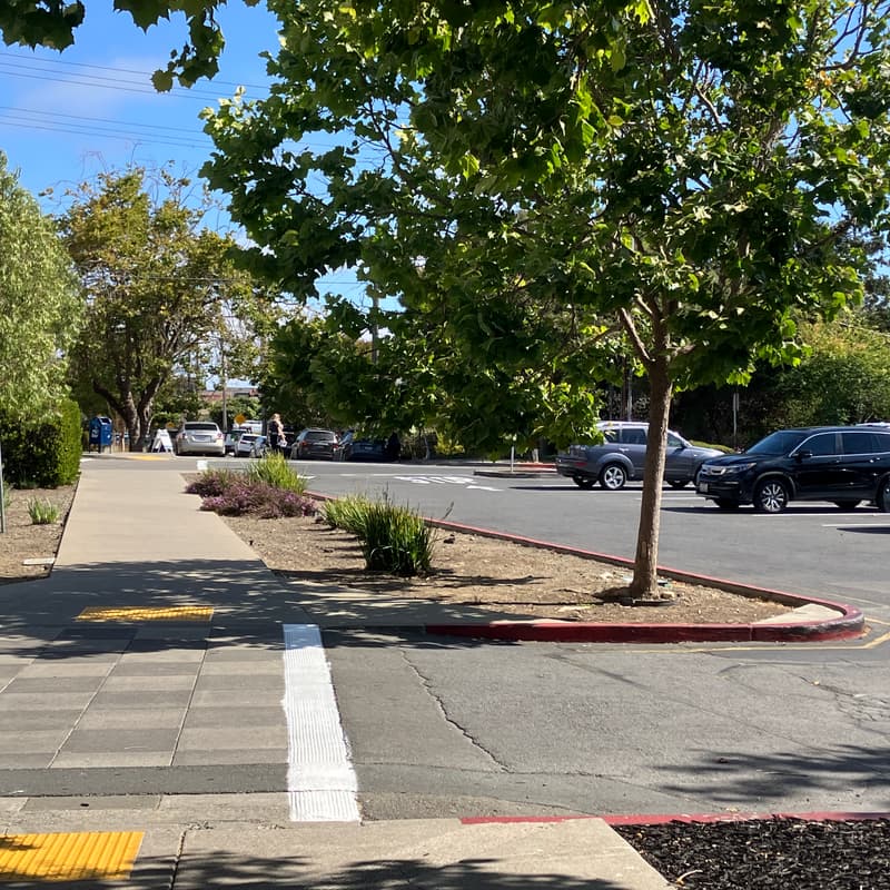 Cover Image for E-Discuss SF: Urban Greening with Rain Gardens at Intersections