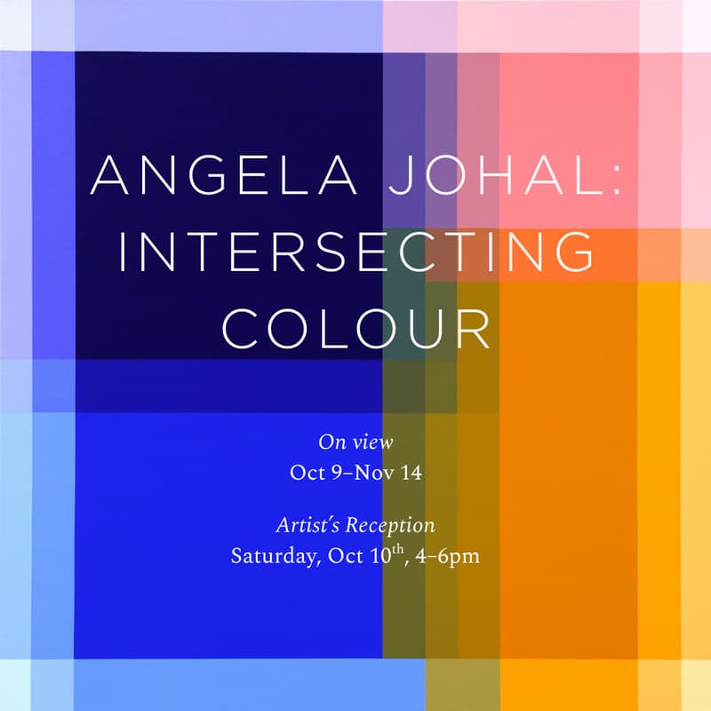 Cover Image for Angela Johal: Intersecting Colour Artist's Reception