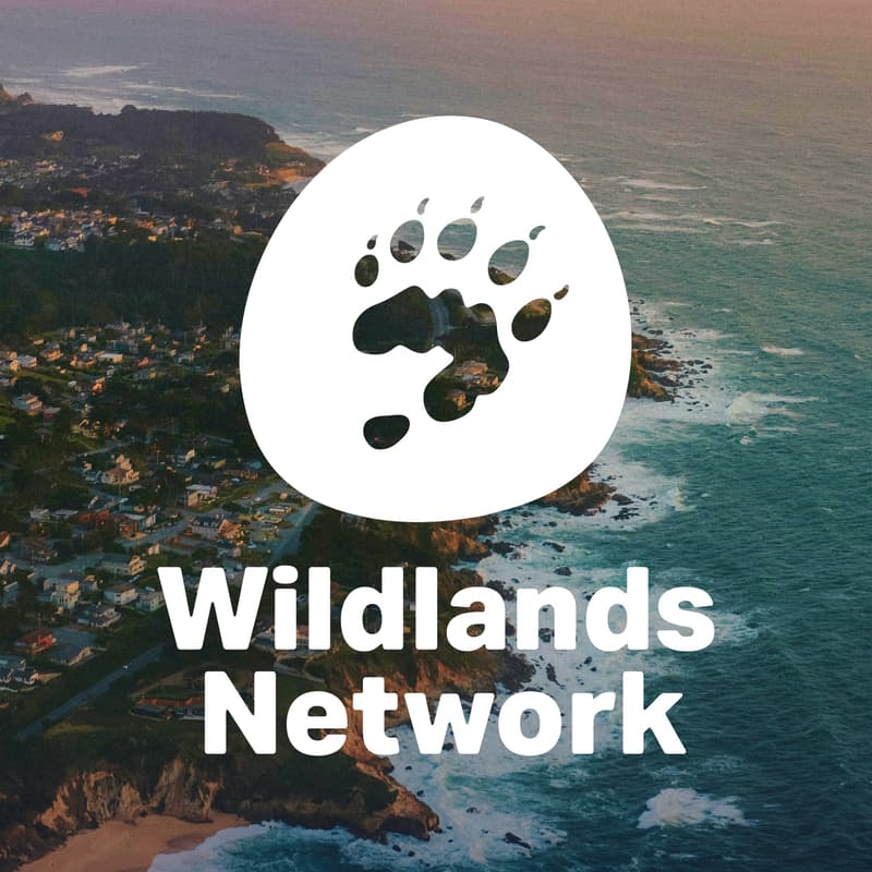 Cover Image for Roam Free: A Wildlife and Climate Trivia Night!