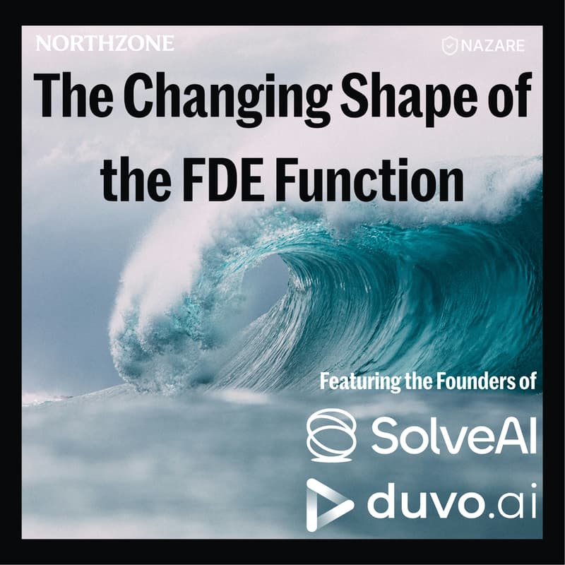 Cover Image for The Changing Shape of the FDE Function