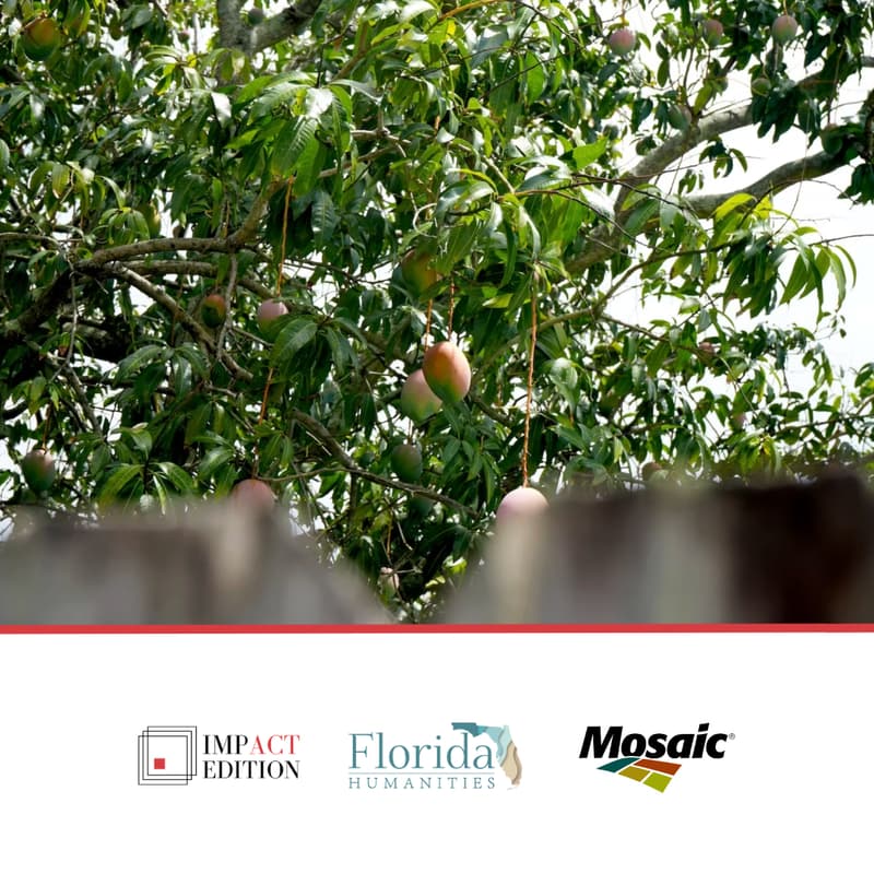 Cover Image for Sweet, Sweet Connection: Live Reading Picnic & Garden Tour