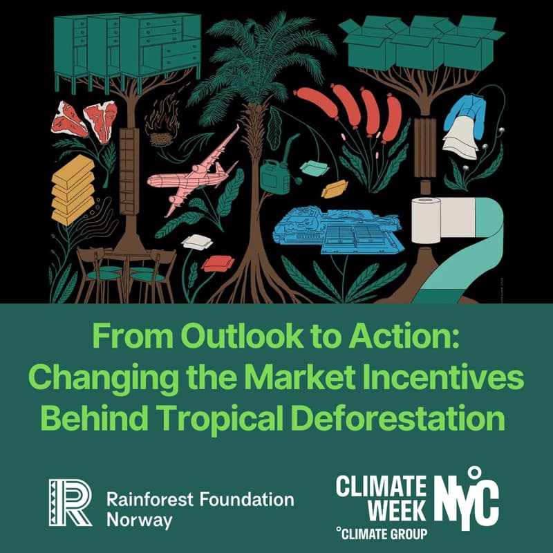 Cover Image for From Outlook to Action: Changing the Market Incentives Behind Tropical Deforestation