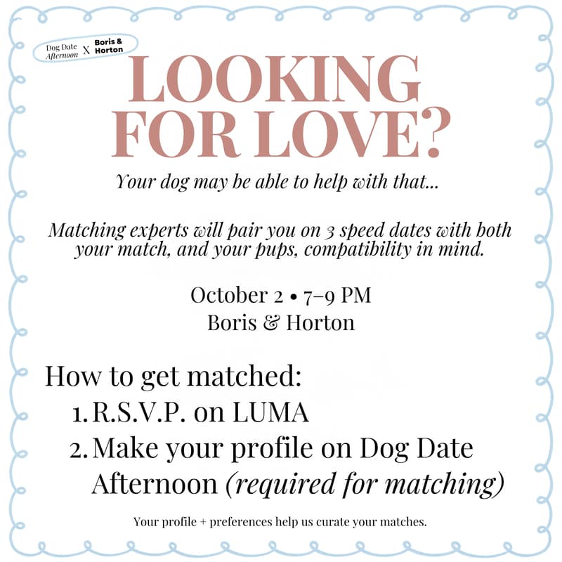 Cover Image for Looking for Love? Your Dog Can Help