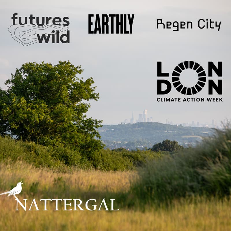 Cover Image for FuturesWild x Earthly x Regen City - London Climate Action Week Rewilding Tour & BBQ - 2.30pm to 8pm