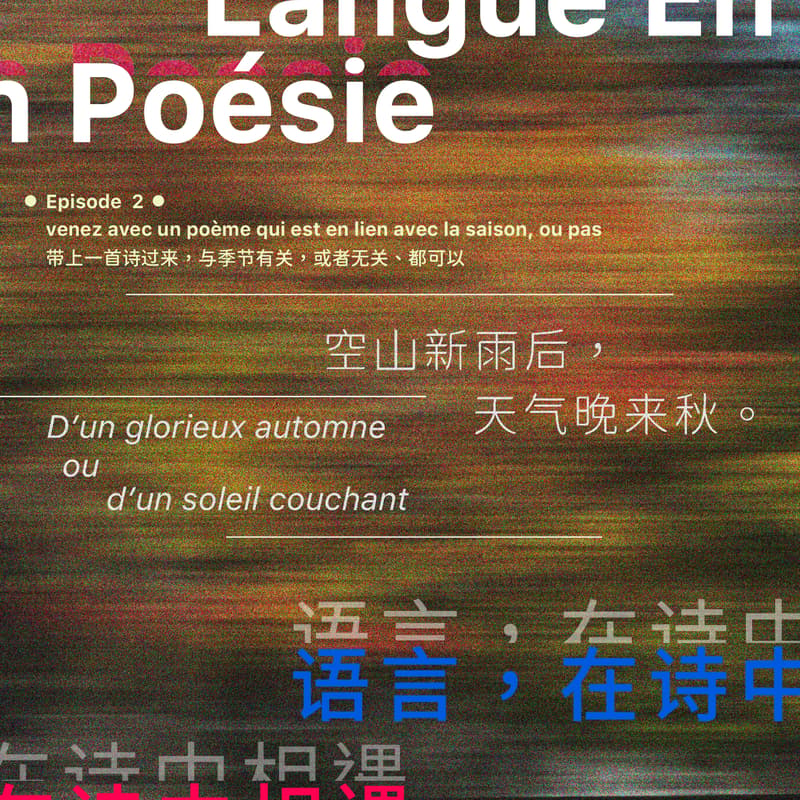 Cover Image for Langue En Poésie