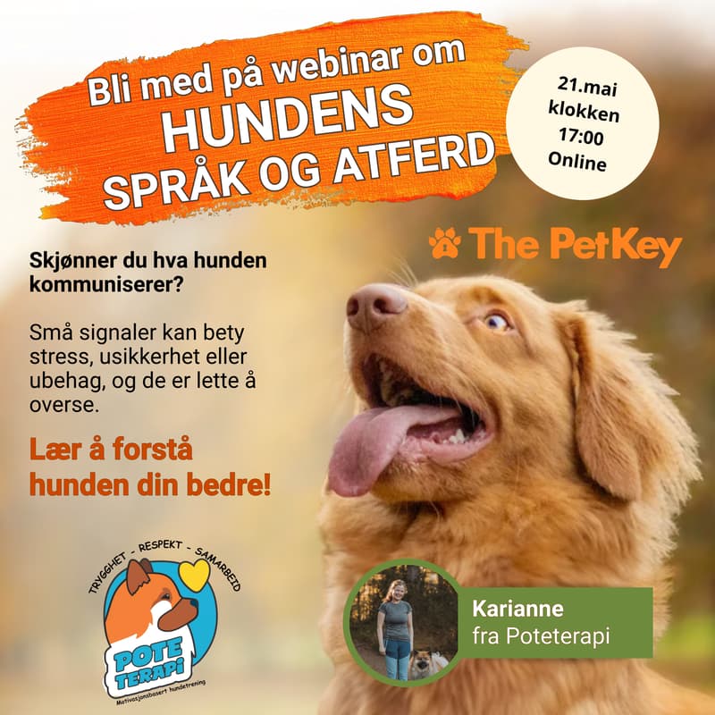 Cover Image for Webinar, PetKey x Poteterapi - "Hundens atferd og Språk"