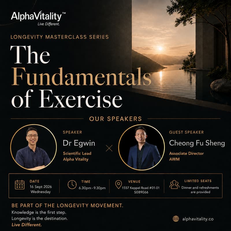 Cover Image for The Fundementals of Exercise