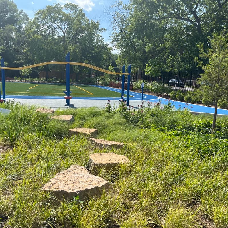 Cover Image for Green Schoolyard Tour in South Shore