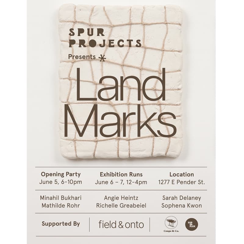 Cover Image for 'Land Marks' Opening Art Party