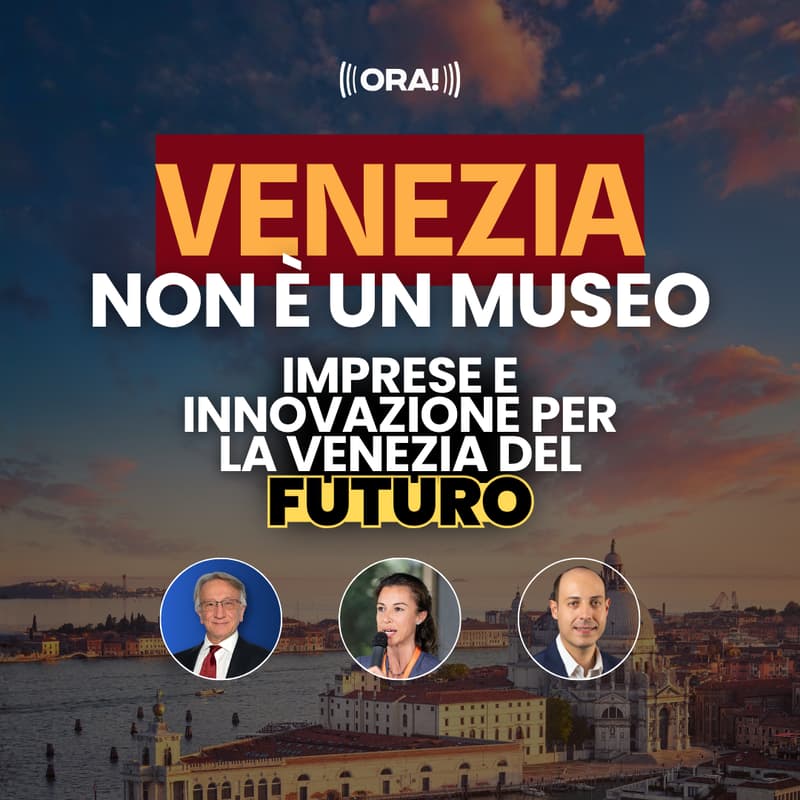 Cover Image for Venezia non è un museo