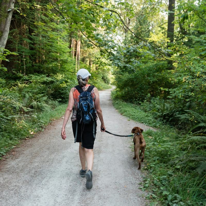 Cover Image for Good Dog Gathering - Michigan