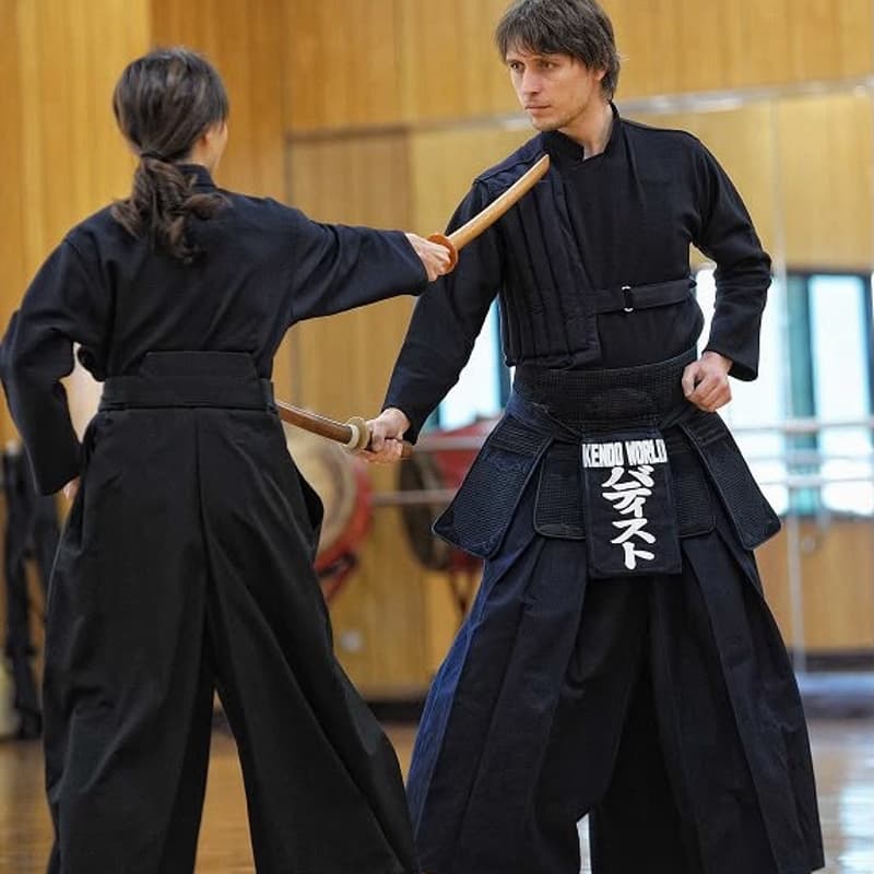 Cover Image for Delphi Martial Arts Experience, with Baptiste Tavernier