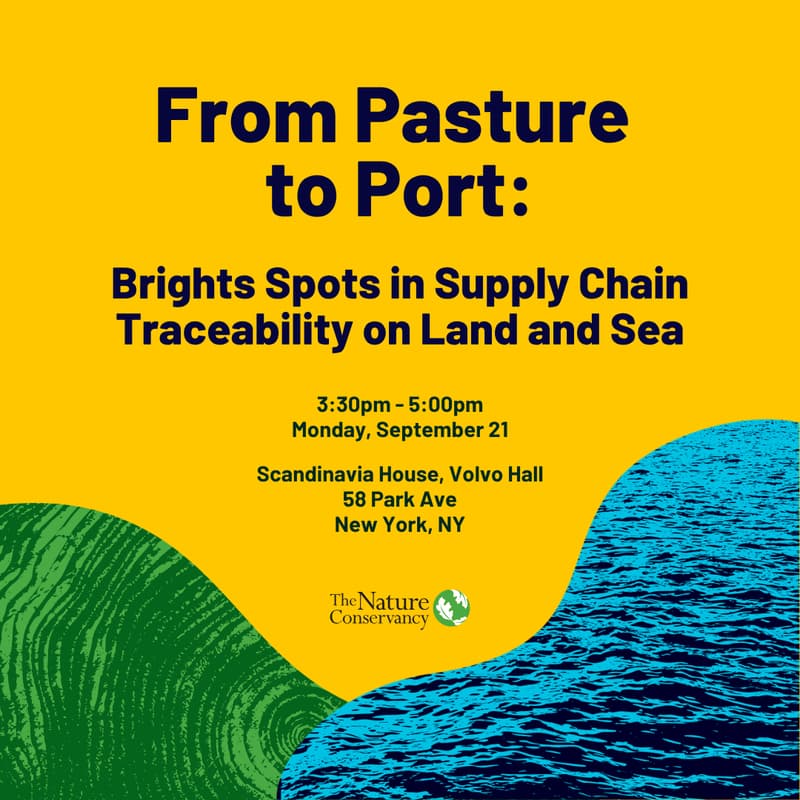 Cover Image for From Pasture to Port: Brights Spots in Supply Chain Traceability on Land and Sea