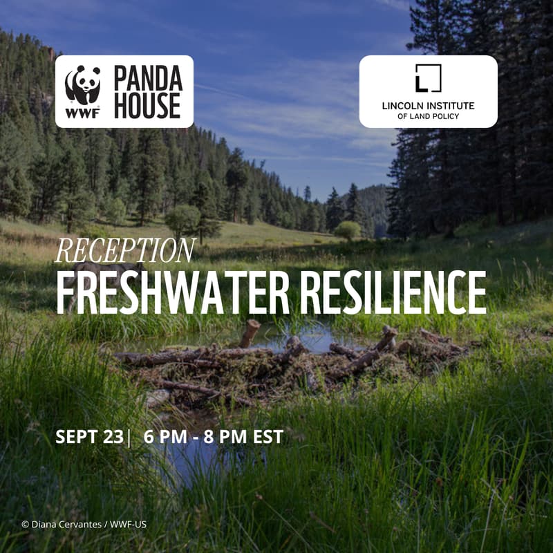 Cover Image for Freshwater Resilience Reception