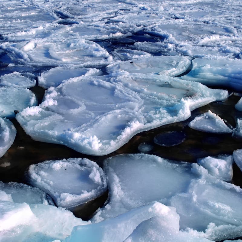 Cover Image for Navigating Climate Risk and Response
