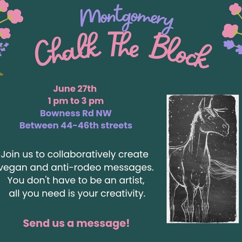 Cover Image for Chalk The Block Montgomery