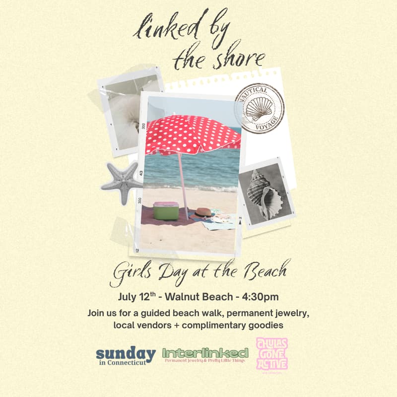 Cover Image for Linked by the Shore