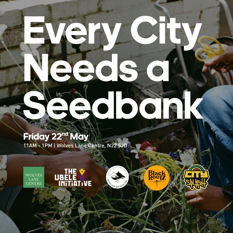 Cover Image for Every City Needs a Seedbank