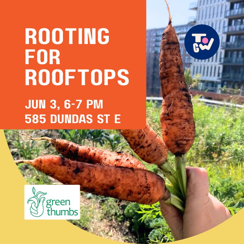 Cover Image for Rooting for Rooftops - Green Thumbs UP