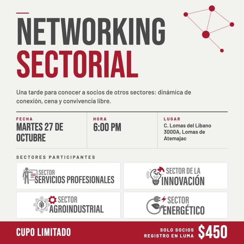 Cover Image for Networking Sectorial