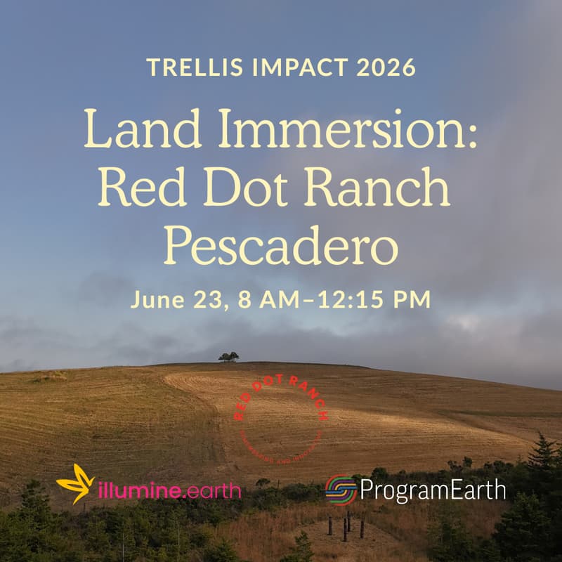 Cover Image for Land Immersion: Red Dot Ranch Pescadero