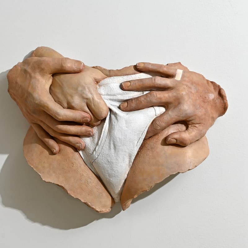 Cover Image for Opening Reception | Carole Feurman: I Am Mine, Without Permission