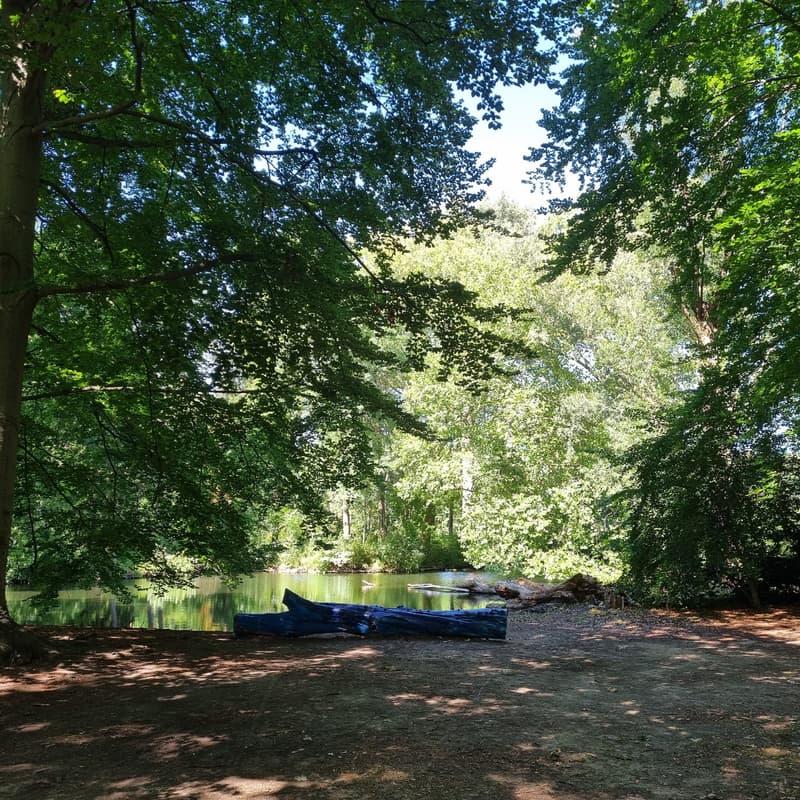 Cover Image for 🌿 Free Outdoor Park Yoga – All Levels Welcome