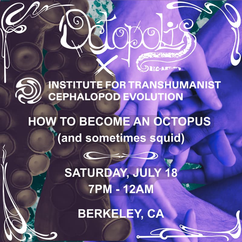 Cover Image for Octopolis Playa Send-Off Fundraiser