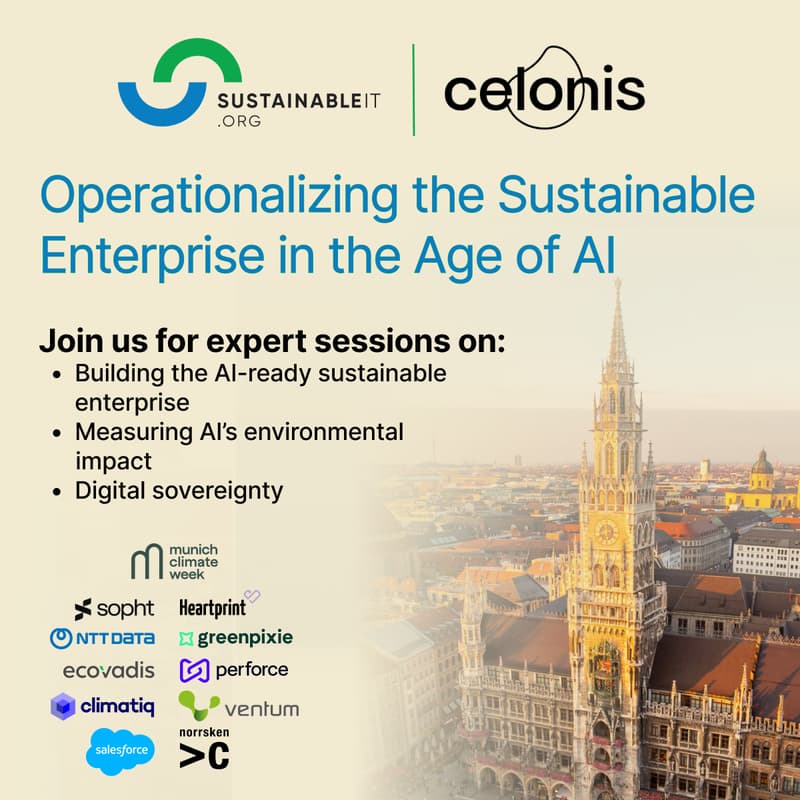 Cover Image for Operationalizing the Sustainable Enterprise in the Age of AI