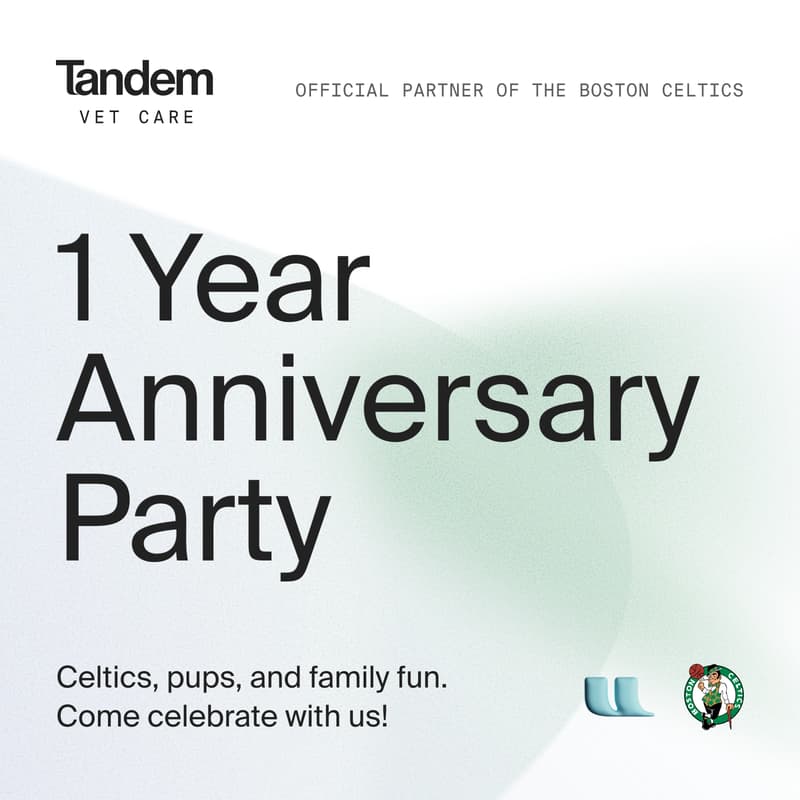 Cover Image for Tandem Vet - 1 Year Anniversary - Celtics Extravaganza (Rain Or Shine)