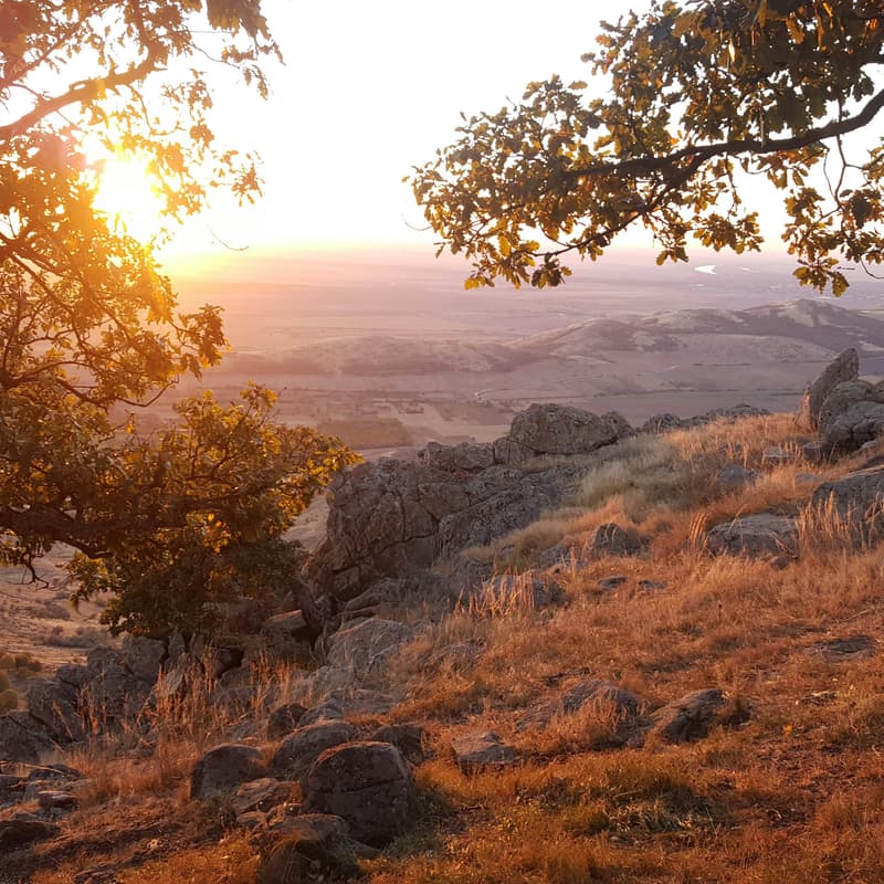 Cover Image for Your Personal Plateau: The Next Stage of You — A Bay Area Leadership Fireside Chat, San Mateo