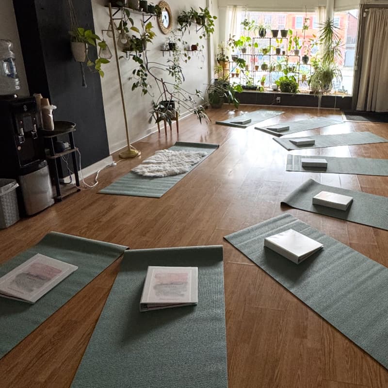Cover Image for 🌿Root Chakra Yoga🌳